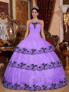 2013 Lavender Strapless Appliqued Quinceanera Gowns in Organza and Lace