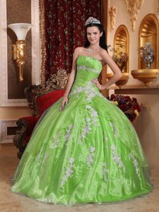 Beautiful Strapless Appliqued Quinceanera Dresses in Organza for Cheap