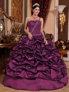 2013 Dark Purple One Shoulder Taffeta Quinceanera Dress with Pick-ups