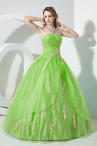 Spring Green Beaded Strapless Organza Sweet 16 Dresses with Embroidery