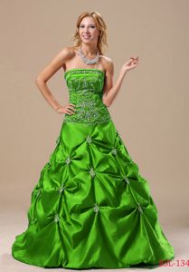 Pick-ups Princess Embroidery Floor-length Quince Gowns in Summer
