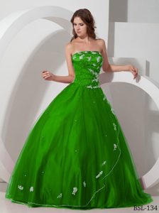 Green Tulle Appliques Floor-length Quincianera Dress with Beading