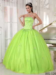 Yellow Green Strapless Appliques Long Dress for Quinceaneras 2014