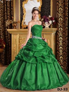 Pick-ups Taffeta Hunter Green Pleats Sweet 16 Dresses in Autumn