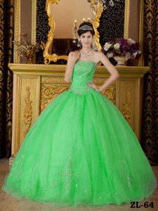 Strapless Organza Beading Spring Green Quincenera Dresses in 2014