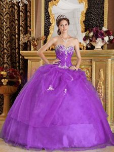Beautiful Purple Ball Gown Organza Appliques Quinceanera Gown Dresses