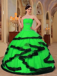 Green and Black Ball Gown Organza Appliques Strapless Quinceanera Gowns