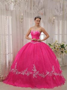 Hot Pink Sweetheart Taffeta and Organza Appliques Sweet 16 Dresses in 2013