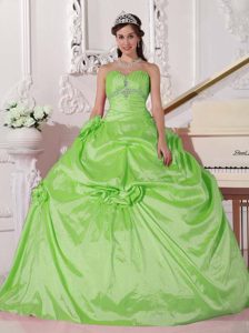 Spring Green Ball Gown Hand Made Flowers Taffeta Beaded Dress for Quince