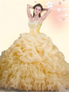 Classical Sweetheart Sleeveless Organza Sweet 16 Quinceanera Dress Beading and Ruffles and Pick Ups Brush Train Lace Up