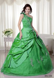 Memorable One Shoulder Long Taffeta and Organza Quince Dress for Fall
