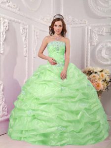 Attractive Apple Green Lace-up Organza Quinces Dresses with Appliques