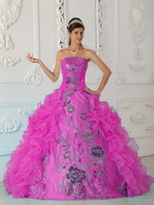 Exquisite Strapless Hot Pink Organza Embroidered Quinceanera Dresses with Ruffles