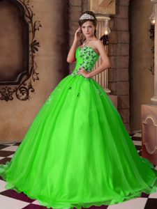 Spring Green Sweetheart Organza Quinceanera Dress with Appliques on Promotion