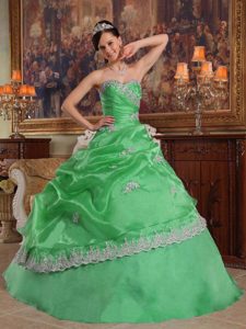 Green Sweetheart Ball Gown Organza Quinceanera Dress with Appliques and Pick-ups