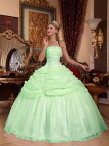 Apple Green Strapless Ball Gown Quinceanera Dresses with Pick-ups and Appliques