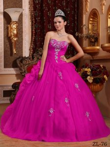Hot Pink Organza Asymmetrical Quinceanera Dresses with Appliques and Pick-ups