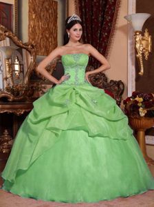 Strapless Green Organza Quinceanera Dresses with Pick-ups and Beading for Cheap