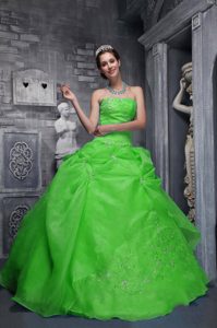 Beautiful Green Quinceanera Gowns with Appliques in Taffeta and Organza