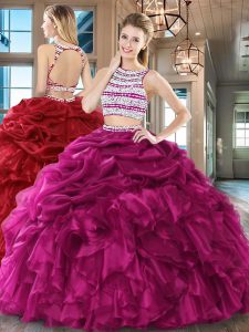 Scoop Backless Organza Sleeveless Floor Length 15 Quinceanera Dress and Beading and Ruffles and Pick Ups