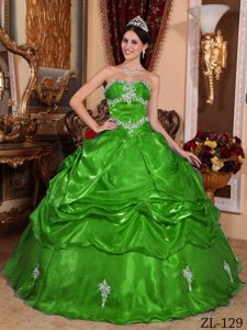Sweetheart Ball Gown Green Organza Quinceanera Dress with Appliques and Pick-ups