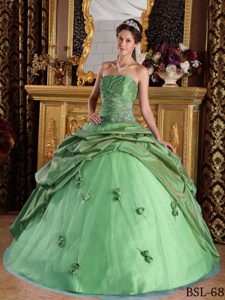 Discount Beaded Green Quinceanera Gown with Pick-ups and Handmade Flowers