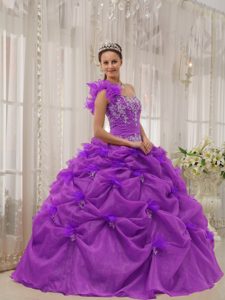 Beautiful One Shoulder Fuchsia Quinceanera Gowns with Appliques and Pick-ups