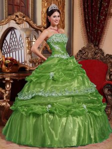 Olive Green Ball Gown Quinceanera Gown with Ruffles and Appliques in Organza