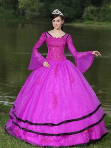 Most Popular V-neck Long Sleeves Appliqued Hot Pink Quinceanera Gown