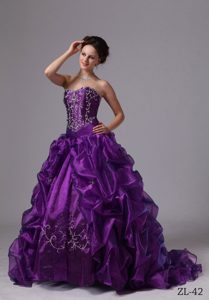Special Strapless Organza Quinceanera Gowns with Embroider and Pick-ups