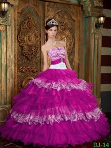 Fuchsia Organza and Zebra Quinceanera Dresses with Ruffles on Promotion