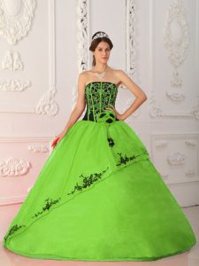 Spring Green Strapless Satin and Organza Quinceanera Dress on Promotion