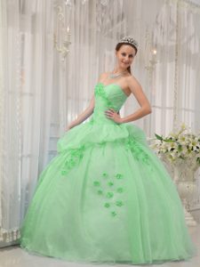 Apple Green Sweetheart Organza Quinceanera Dress with Appliques on Sale