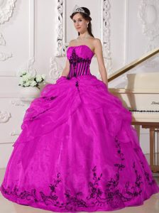 Hot Pink and Black Organza Quinceanera Dress with Appliques on Promotion