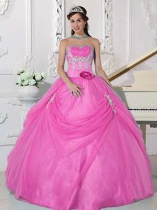 Pink Organza Appliqued Quinceanera Dress with Hand Made Flowers on Sale