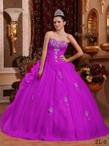 Beautiful Sweetheart Organza Quinceanera Dress with Appliques on Promotion