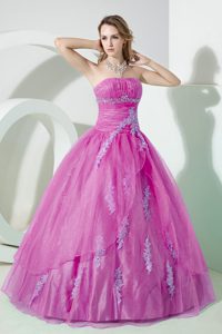 Beautiful Sweet Sixteen Quinceanera Dresses with Appliques on Promotion