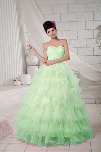 Apple Green Sweetheart Organza Beaded Quinceanea Dress for Custom Made