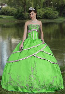 Taffeta and Satin Embroidery Green Quinceanera Gown Dress on Promotion
