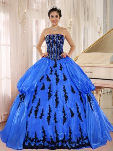 Blue 2013 New Arrival Strapless Quinceanera Dress with Embroidery in 2014