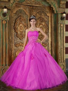 Stylish Appliqued Fuchsia Sweetheart Dresses for Quinceanera in Organza