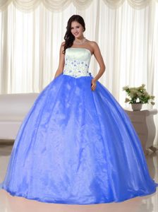 Graceful Aqua Blue Embroidery Quinceanera Dresses in Organza for Cheap