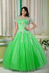 Spring Green Sweetheart Quinceanera Gowns with Appliques Made in Tulle